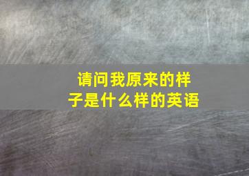 请问我原来的样子是什么样的英语