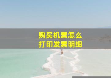 购买机票怎么打印发票明细