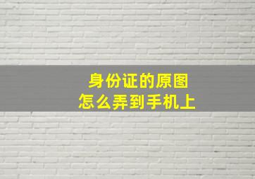 身份证的原图怎么弄到手机上