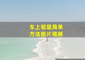 车上驱鼠简单方法图片视频