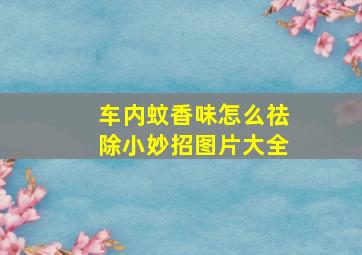 车内蚊香味怎么祛除小妙招图片大全