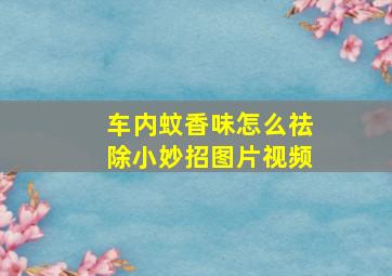 车内蚊香味怎么祛除小妙招图片视频