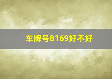 车牌号8169好不好