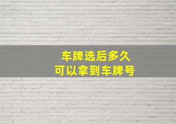 车牌选后多久可以拿到车牌号