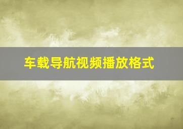 车载导航视频播放格式