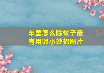 车里怎么除蚊子最有用呢小妙招图片