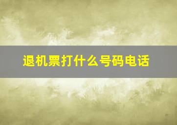 退机票打什么号码电话