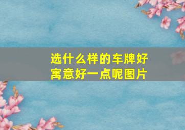 选什么样的车牌好寓意好一点呢图片