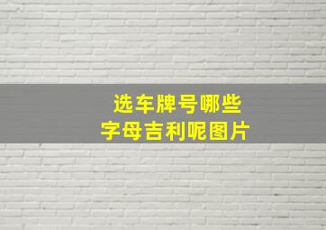 选车牌号哪些字母吉利呢图片