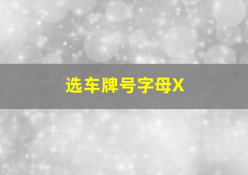 选车牌号字母X