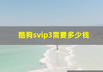 酷狗svip3需要多少钱