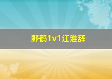 野鹤1v1江淮辞