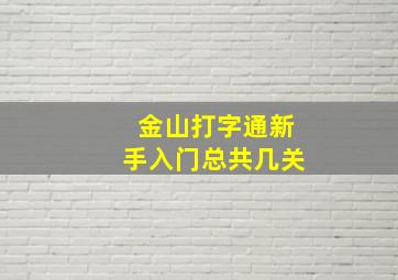 金山打字通新手入门总共几关