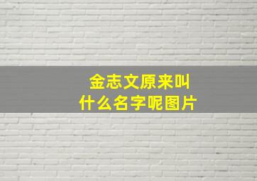 金志文原来叫什么名字呢图片