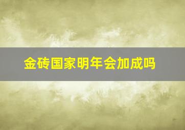 金砖国家明年会加成吗