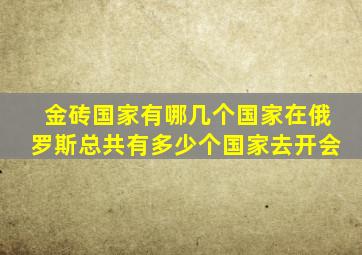 金砖国家有哪几个国家在俄罗斯总共有多少个国家去开会