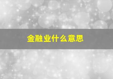 金融业什么意思