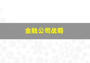 金融公司战略