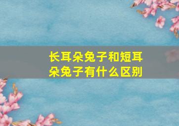 长耳朵兔子和短耳朵兔子有什么区别