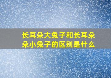 长耳朵大兔子和长耳朵朵小兔子的区别是什么