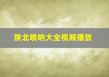 陕北唢呐大全视频播放