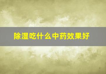 除湿吃什么中药效果好