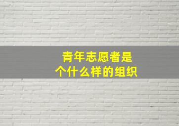 青年志愿者是个什么样的组织