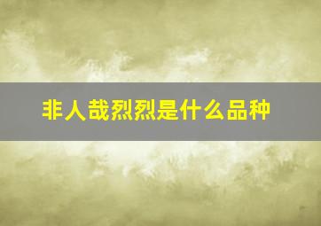 非人哉烈烈是什么品种