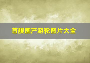 首艘国产游轮图片大全