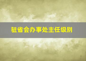 驻省会办事处主任级别