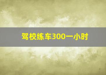 驾校练车300一小时