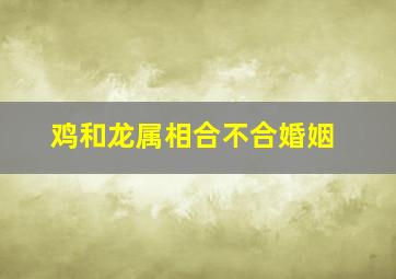 鸡和龙属相合不合婚姻