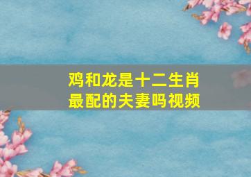 鸡和龙是十二生肖最配的夫妻吗视频