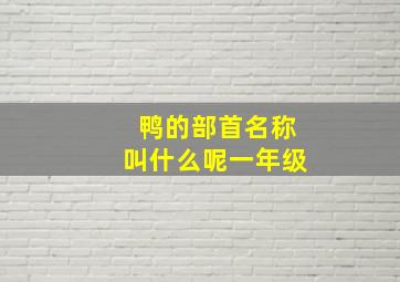 鸭的部首名称叫什么呢一年级