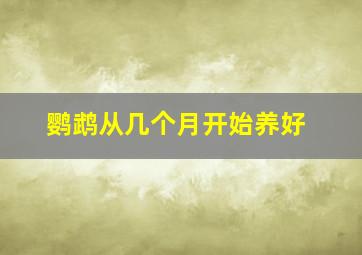 鹦鹉从几个月开始养好