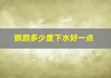 鹦鹉多少度下水好一点