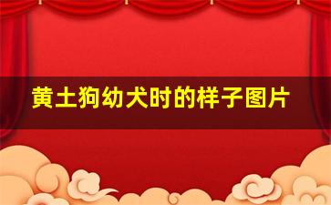 黄土狗幼犬时的样子图片