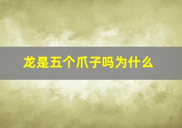 龙是五个爪子吗为什么