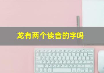 龙有两个读音的字吗